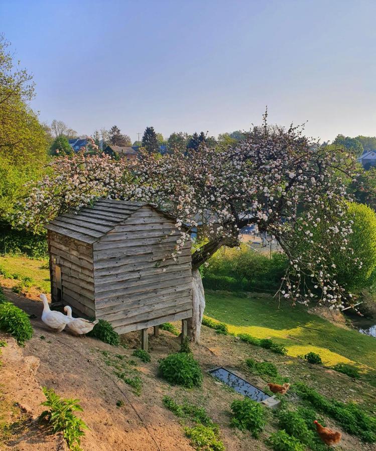 La Maison Du Sabotier Custinne Zewnętrze zdjęcie