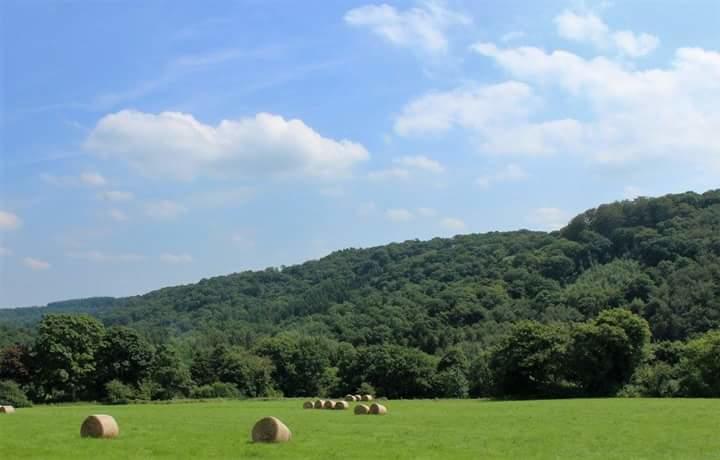 La Maison Du Sabotier Custinne Zewnętrze zdjęcie