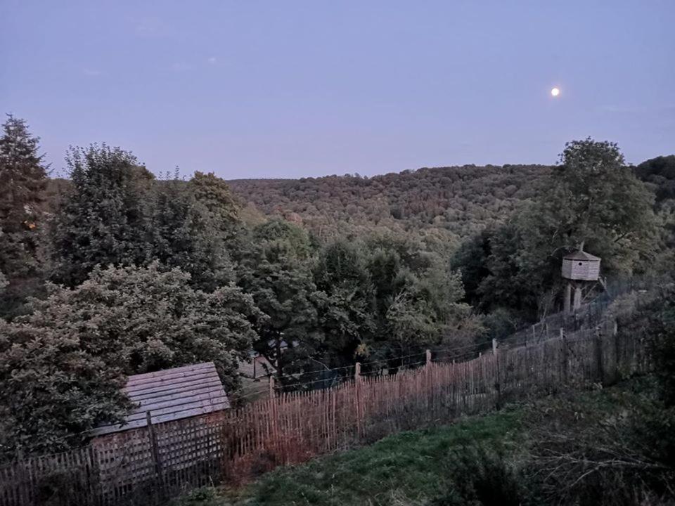 La Maison Du Sabotier Custinne Zewnętrze zdjęcie